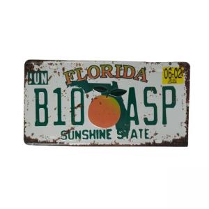 CHAPA DECORATIVA MATRICULA - FLORIDA SUNSHINE STATE