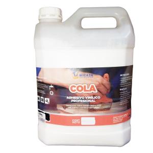 COLA VINILICA MI CASA X 10 KG.