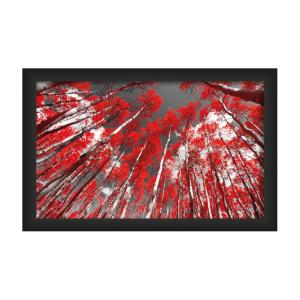 CUADRO MARCO PVC 62 X 40 CM. ARBOLES ROJOS